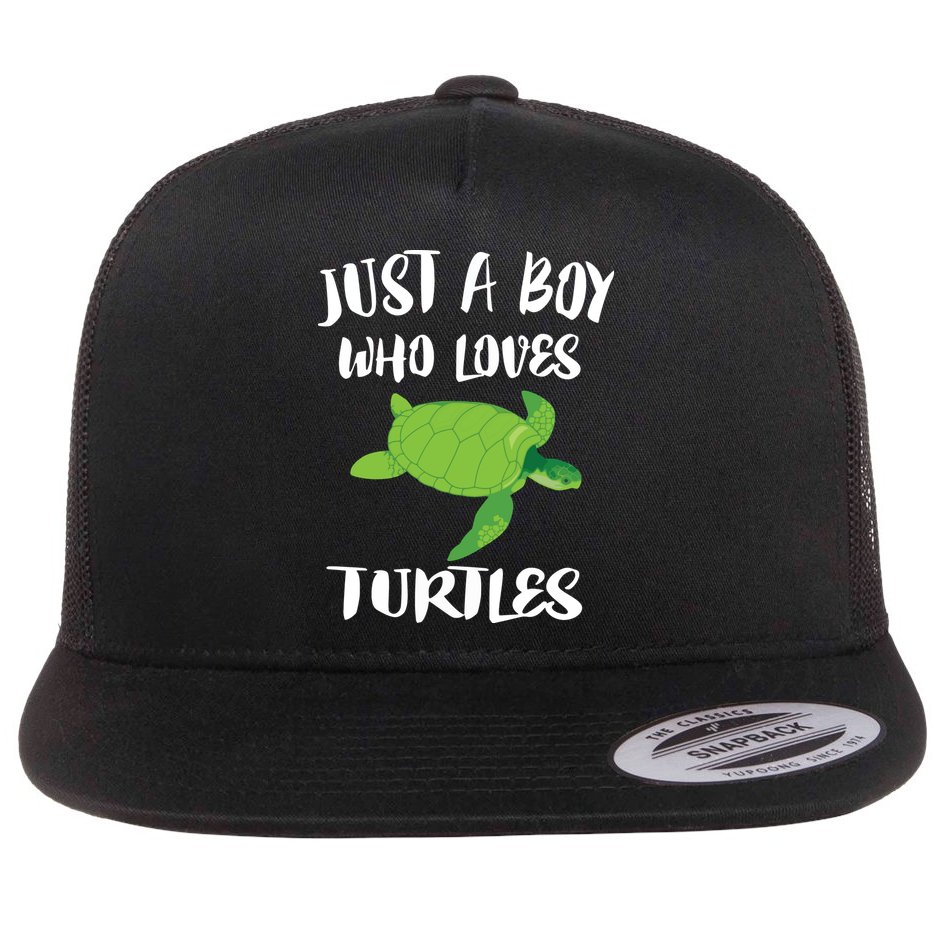 Just A Boy Who Loves Sea Turtles Ocean Animal Gift Flat Bill Trucker Hat