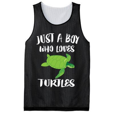 Just A Boy Who Loves Sea Turtles Ocean Animal Gift Mesh Reversible Basketball Jersey Tank