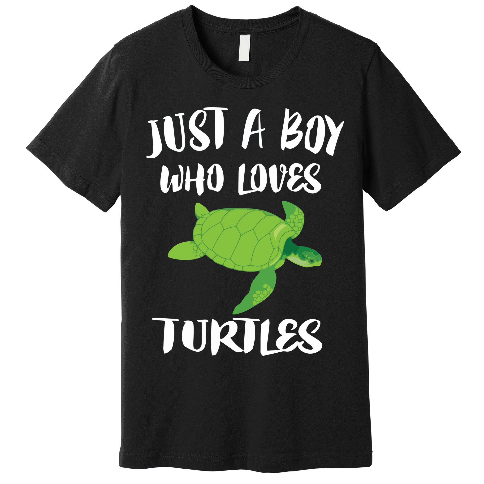Just A Boy Who Loves Sea Turtles Ocean Animal Gift Premium T-Shirt