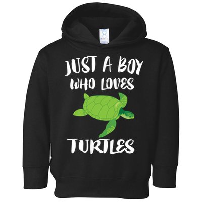 Just A Boy Who Loves Sea Turtles Ocean Animal Gift Toddler Hoodie