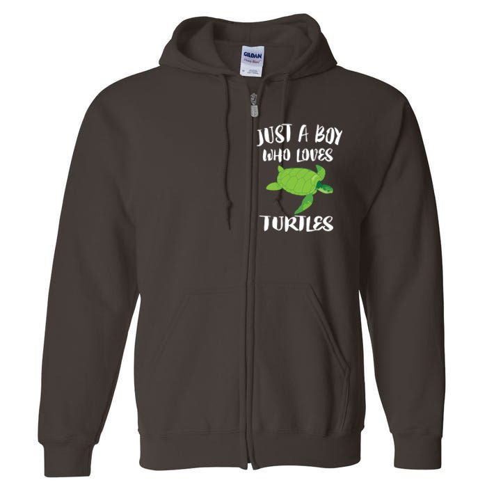 Just A Boy Who Loves Sea Turtles Ocean Animal Gift Full Zip Hoodie