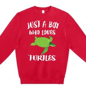 Just A Boy Who Loves Sea Turtles Ocean Animal Gift Premium Crewneck Sweatshirt