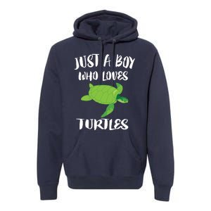 Just A Boy Who Loves Sea Turtles Ocean Animal Gift Premium Hoodie