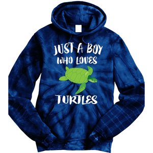 Just A Boy Who Loves Sea Turtles Ocean Animal Gift Tie Dye Hoodie