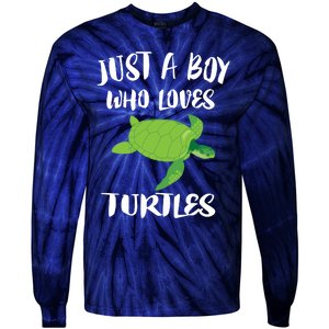 Just A Boy Who Loves Sea Turtles Ocean Animal Gift Tie-Dye Long Sleeve Shirt