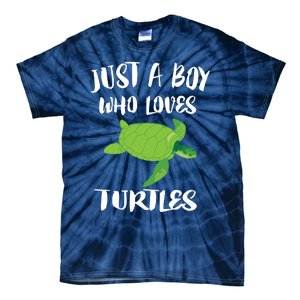 Just A Boy Who Loves Sea Turtles Ocean Animal Gift Tie-Dye T-Shirt