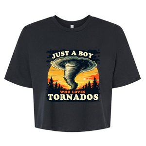 Just A Boy Who Loves Tornados Meteorology Storm Chaser Bella+Canvas Jersey Crop Tee