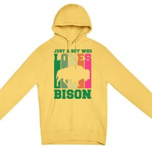 Just A Boy Who Loves Bison Premium Pullover Hoodie