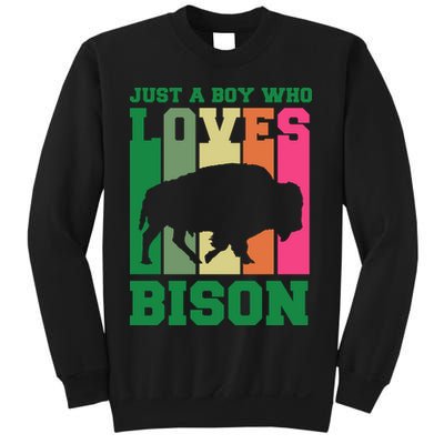 Just A Boy Who Loves Bison Sweatshirt