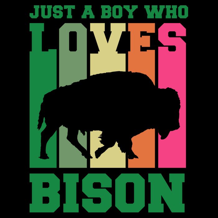 Just A Boy Who Loves Bison City Backpack
