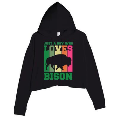 Just A Boy Who Loves Bison Crop Fleece Hoodie