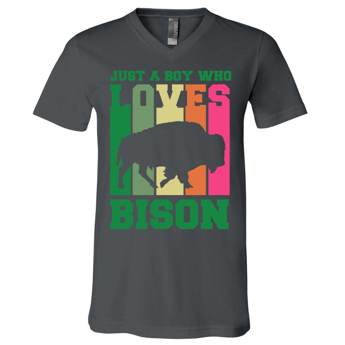 Just A Boy Who Loves Bison V-Neck T-Shirt