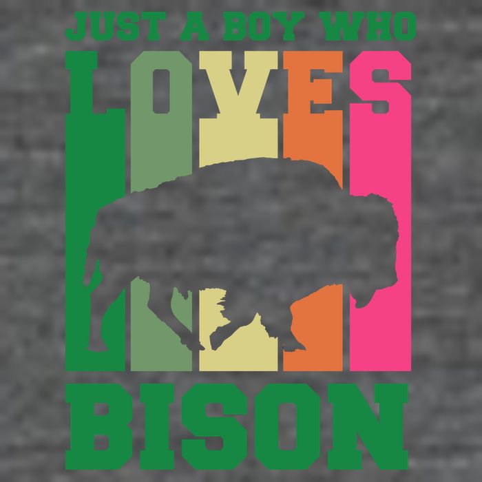 Just A Boy Who Loves Bison Button