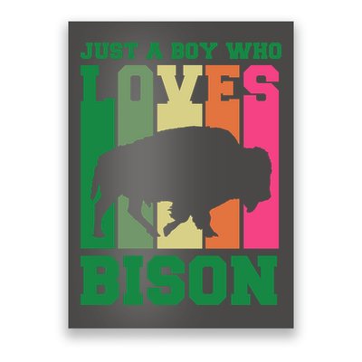 Just A Boy Who Loves Bison Poster