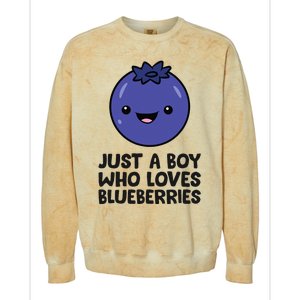 Just A Boy Who Loves Blueberries Colorblast Crewneck Sweatshirt