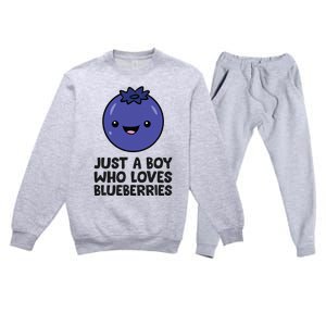 Just A Boy Who Loves Blueberries Premium Crewneck Sweatsuit Set