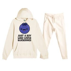 Just A Boy Who Loves Blueberries Premium Hooded Sweatsuit Set