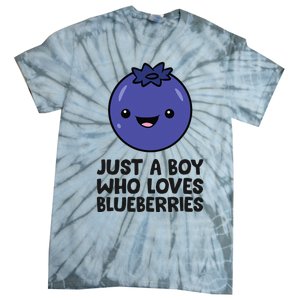 Just A Boy Who Loves Blueberries Tie-Dye T-Shirt