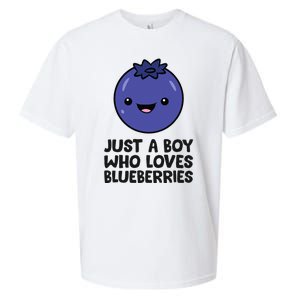 Just A Boy Who Loves Blueberries Sueded Cloud Jersey T-Shirt