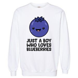 Just A Boy Who Loves Blueberries Garment-Dyed Sweatshirt