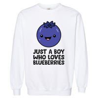 Just A Boy Who Loves Blueberries Garment-Dyed Sweatshirt