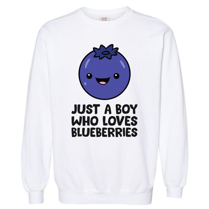 Just A Boy Who Loves Blueberries Garment-Dyed Sweatshirt