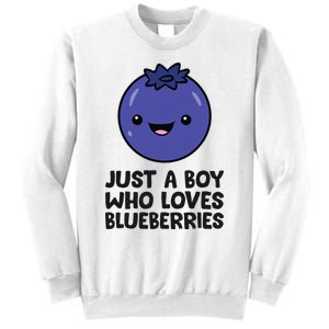 Just A Boy Who Loves Blueberries Sweatshirt