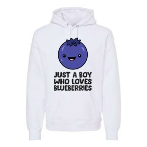 Just A Boy Who Loves Blueberries Premium Hoodie