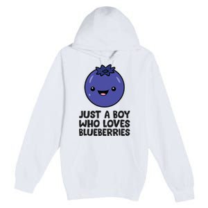 Just A Boy Who Loves Blueberries Premium Pullover Hoodie