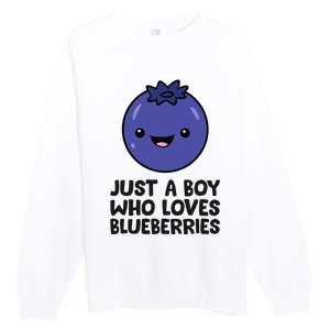 Just A Boy Who Loves Blueberries Premium Crewneck Sweatshirt