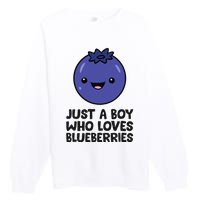 Just A Boy Who Loves Blueberries Premium Crewneck Sweatshirt