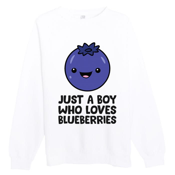 Just A Boy Who Loves Blueberries Premium Crewneck Sweatshirt