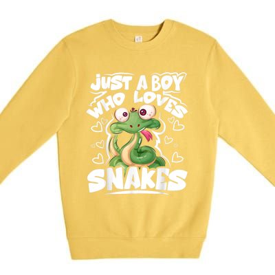 Just A Boy Who Loves Snakes Snake Lover Gift Premium Crewneck Sweatshirt