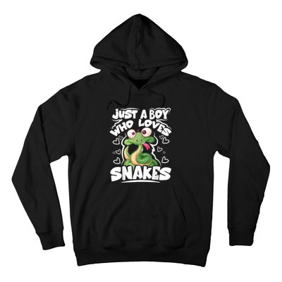 Just A Boy Who Loves Snakes Snake Lover Gift Hoodie