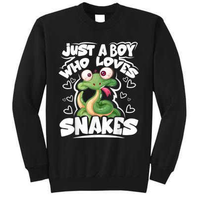 Just A Boy Who Loves Snakes Snake Lover Gift Sweatshirt