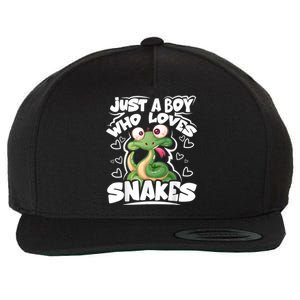 Just A Boy Who Loves Snakes Snake Lover Gift Wool Snapback Cap