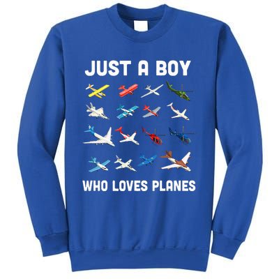 Just A Boy Who Loves Planes Sweatshirt