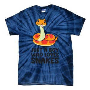 Just A Boy Who Loves Snakes Tie-Dye T-Shirt