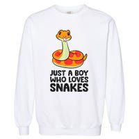 Just A Boy Who Loves Snakes Garment-Dyed Sweatshirt