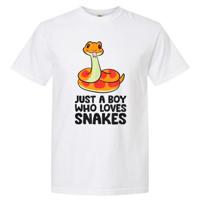 Just A Boy Who Loves Snakes Garment-Dyed Heavyweight T-Shirt