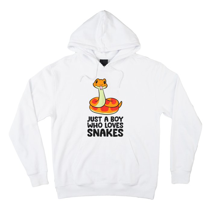 Just A Boy Who Loves Snakes Hoodie