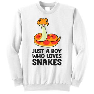 Just A Boy Who Loves Snakes Sweatshirt