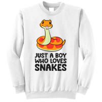 Just A Boy Who Loves Snakes Sweatshirt