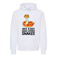 Just A Boy Who Loves Snakes Premium Hoodie