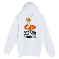 Just A Boy Who Loves Snakes Premium Pullover Hoodie