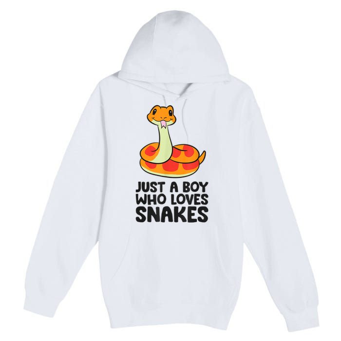 Just A Boy Who Loves Snakes Premium Pullover Hoodie