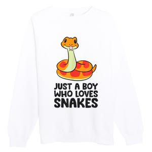 Just A Boy Who Loves Snakes Premium Crewneck Sweatshirt