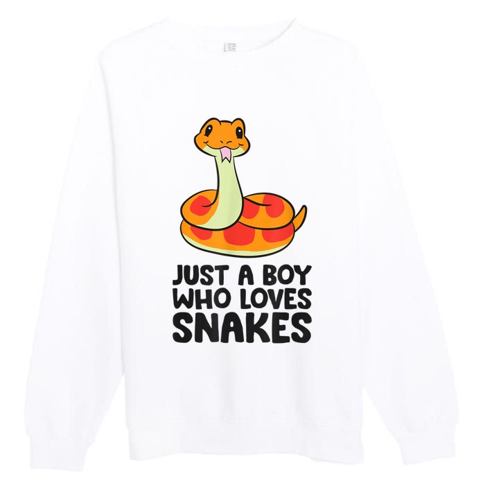 Just A Boy Who Loves Snakes Premium Crewneck Sweatshirt