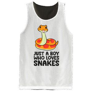 Just A Boy Who Loves Snakes Mesh Reversible Basketball Jersey Tank