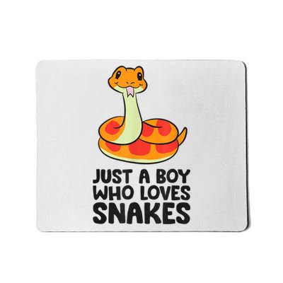 Just A Boy Who Loves Snakes Mousepad